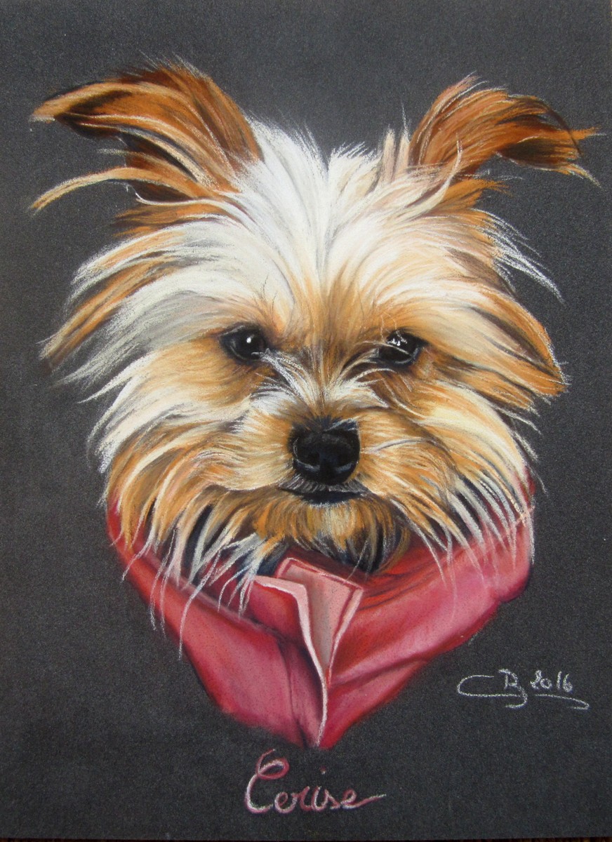yorkshire aux pastels