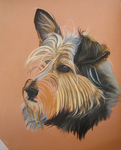 chien pastel