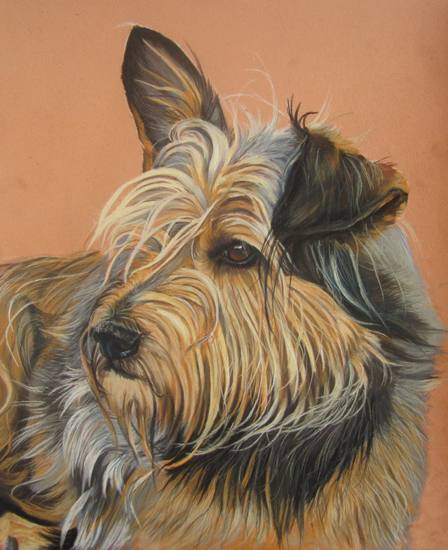 chien pastel sec