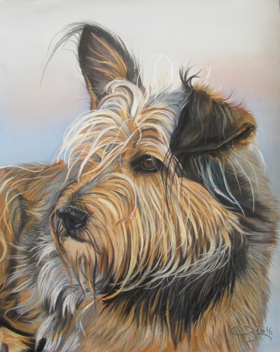 chien pastels