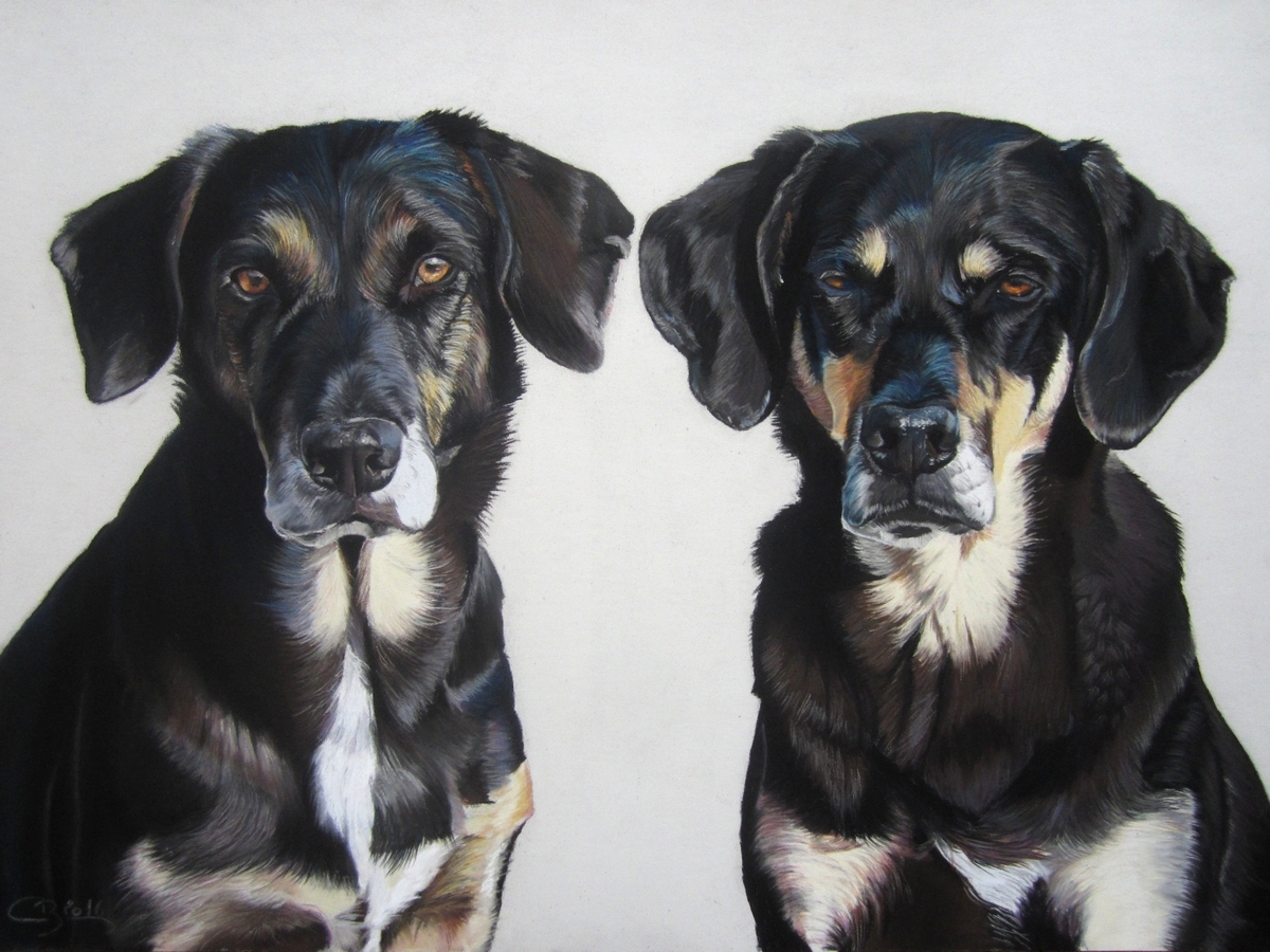 chiens pastels