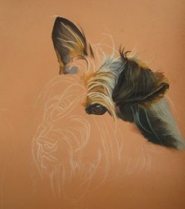 dessiner chien