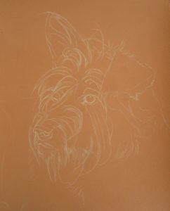 esquisse chien