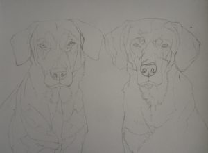 esquisse chiens