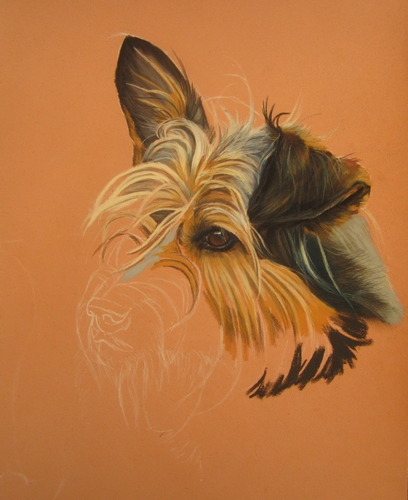 peindre chien