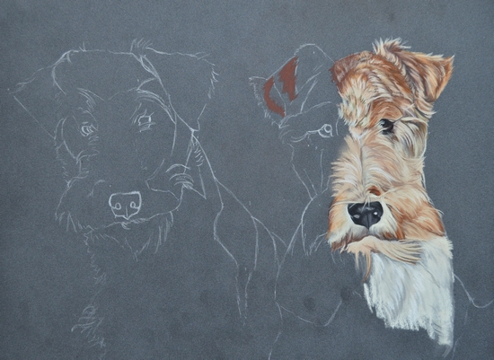 peinture fox terrier