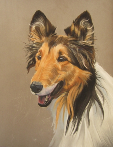 portrait colley