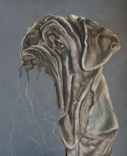 chien matin de naples pastels