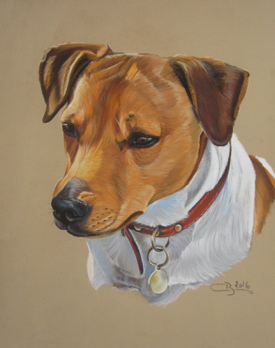 jack russel pastel sec