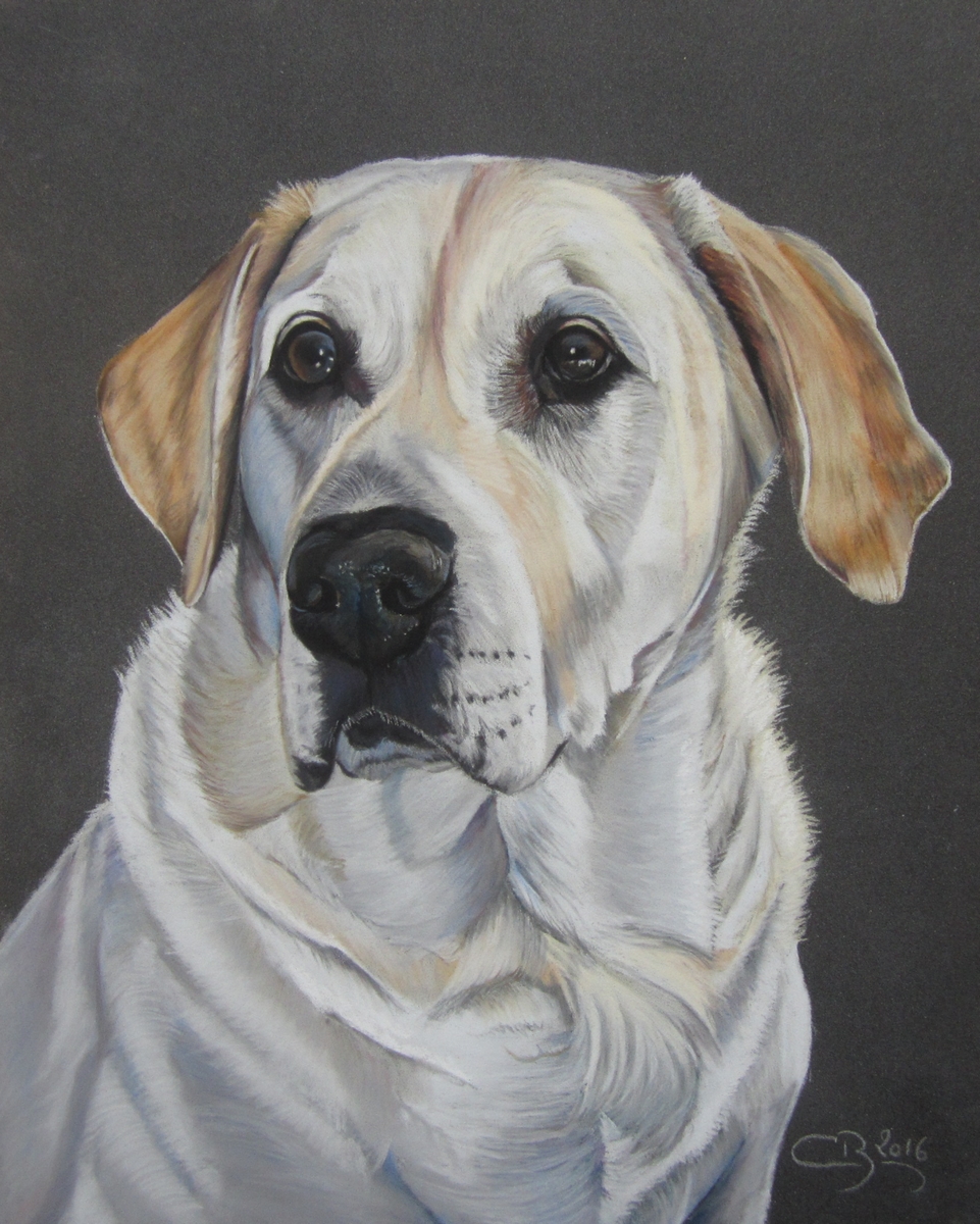 labrador pastels secs