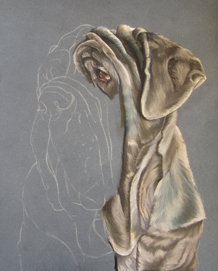 portrait matin naples