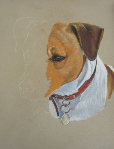 tableau jack russel