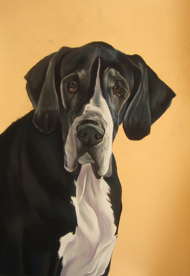 dogue allemand pastel sec