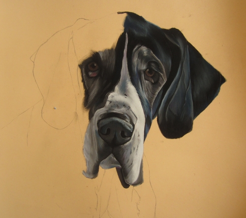 pastel dogue allemand