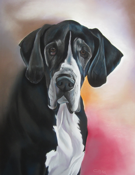 portrait dogue allemand pastel