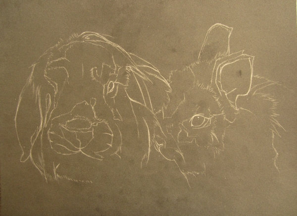 dessin lapins