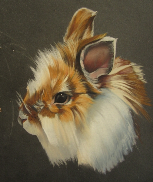 lapin pastel sec