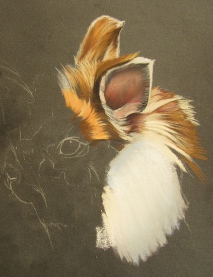 lapin pastels