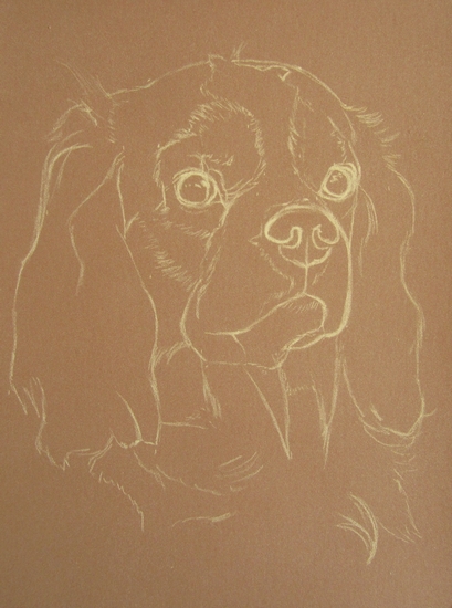 pastel cavalier king charles (1)