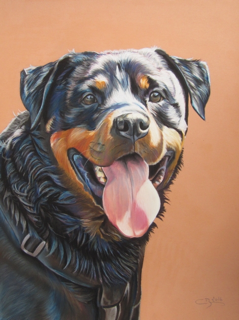 rottweiler aux pastels