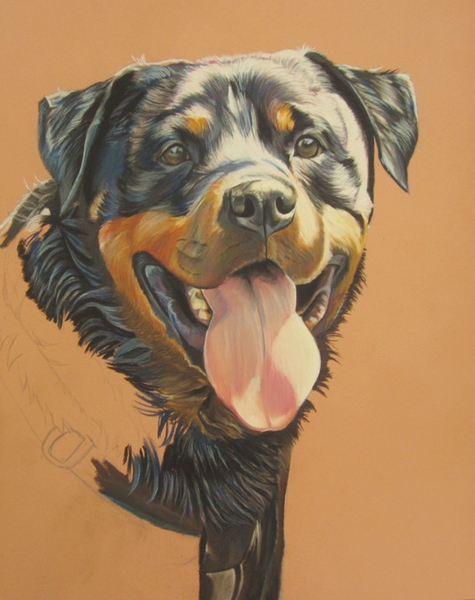 rottweiler pastel sec