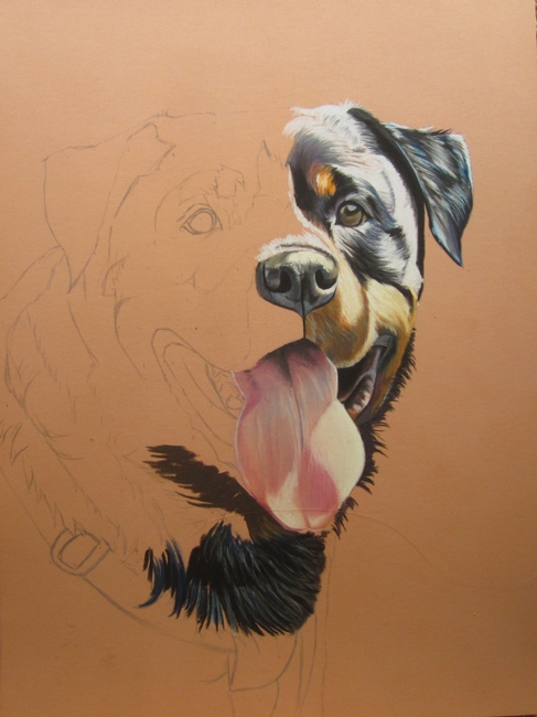 rottweiler pastel