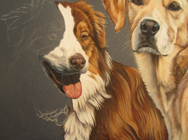 berger-australien-pastel