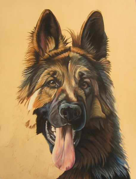 berger-allemand-pastel