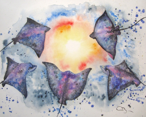 raies-aquarelle
