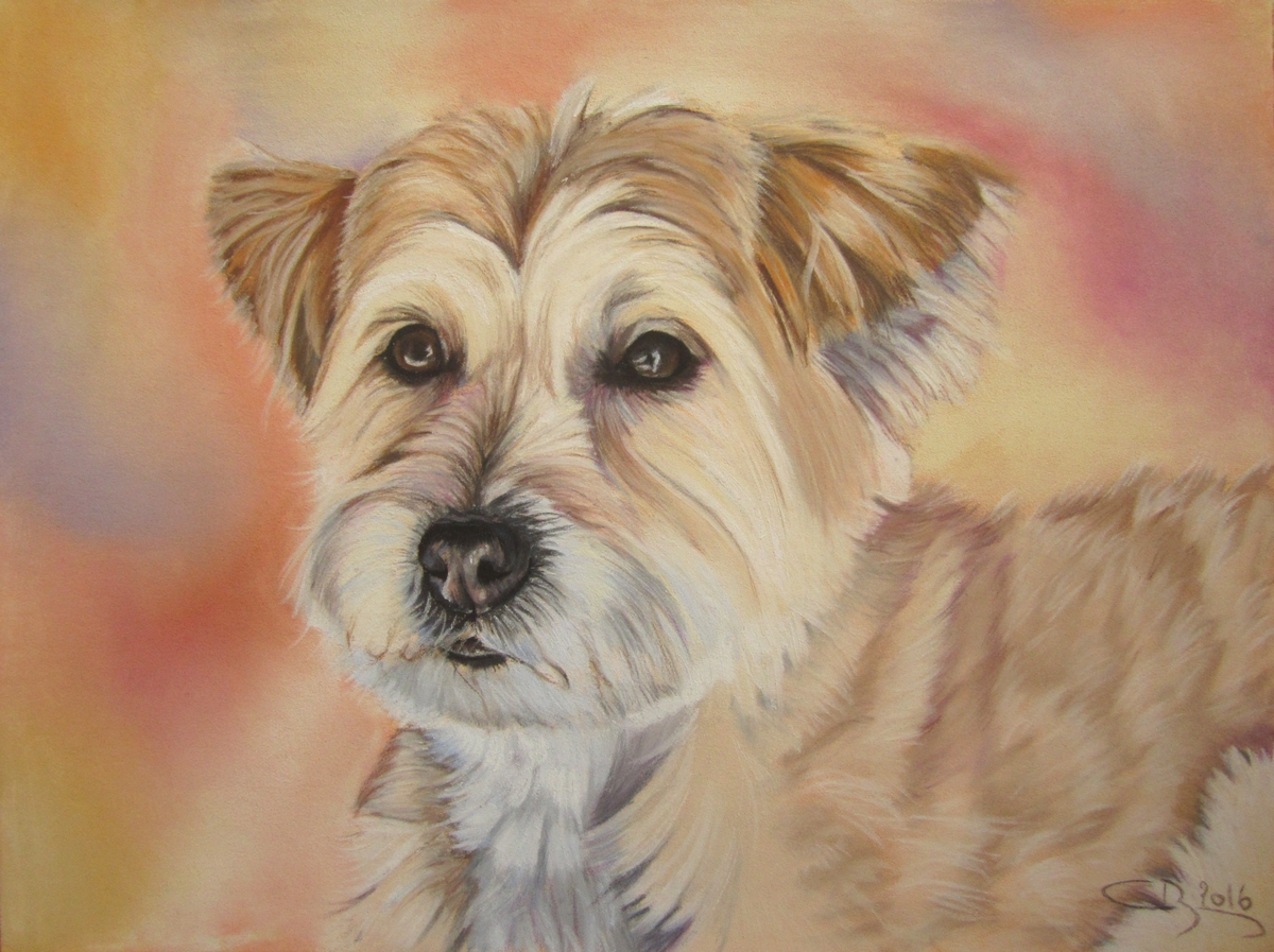 chien-beige-au-pastel
