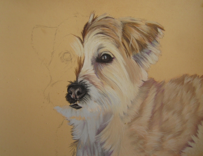 chien-beige-pastel