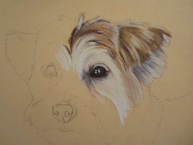 chien-pastel-sec