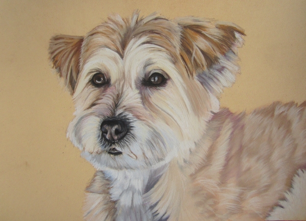 chien-pastel