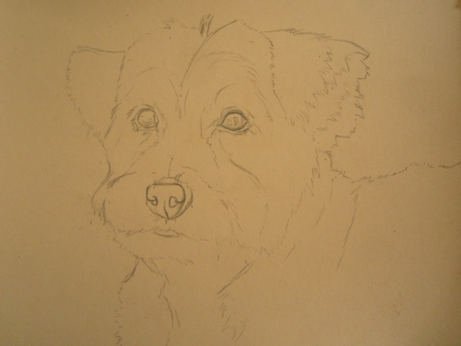 esquisse-chien-pastel