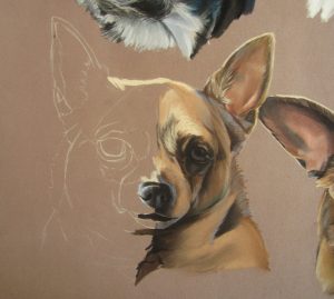 chien-pastel-sec