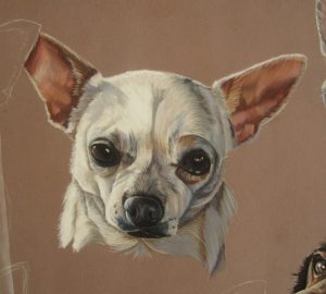 tableau-chihuahua