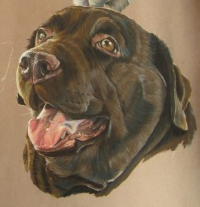 tableau-labrador-chocolat