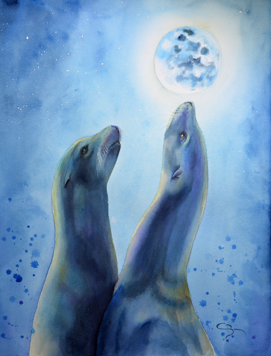 aquarelle otaries