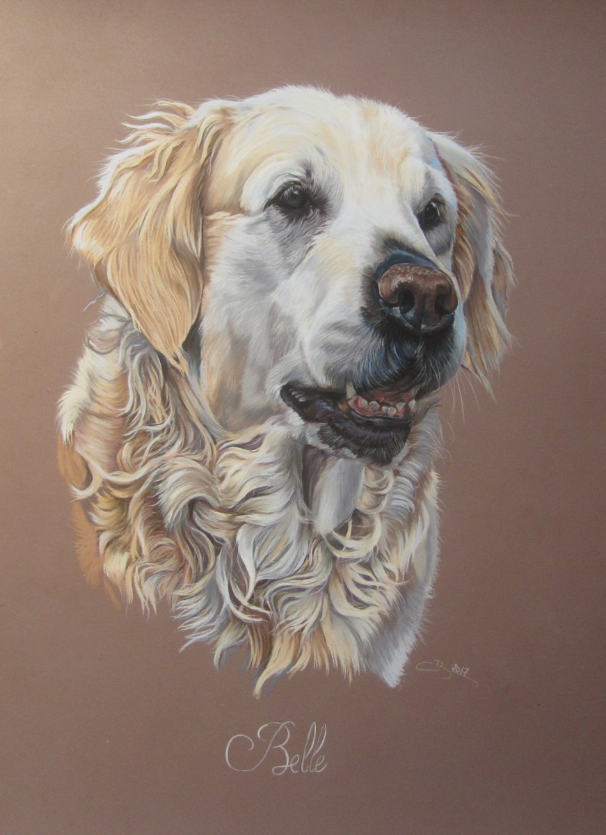 golden retriever pastel