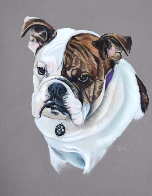 portrait bouledogue anglais