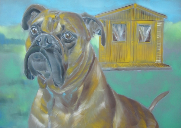 boxer panpastel