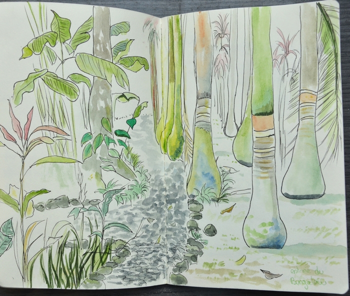 croquis jardin