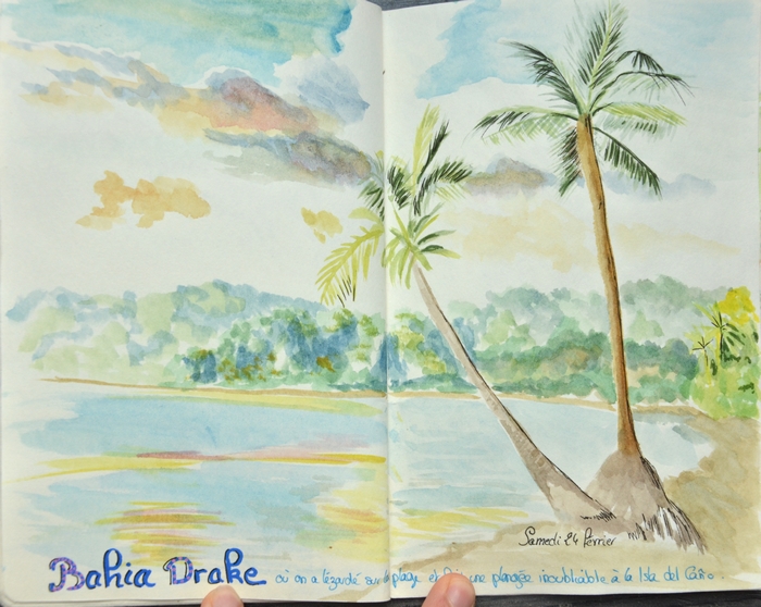 croquis palmiers plage
