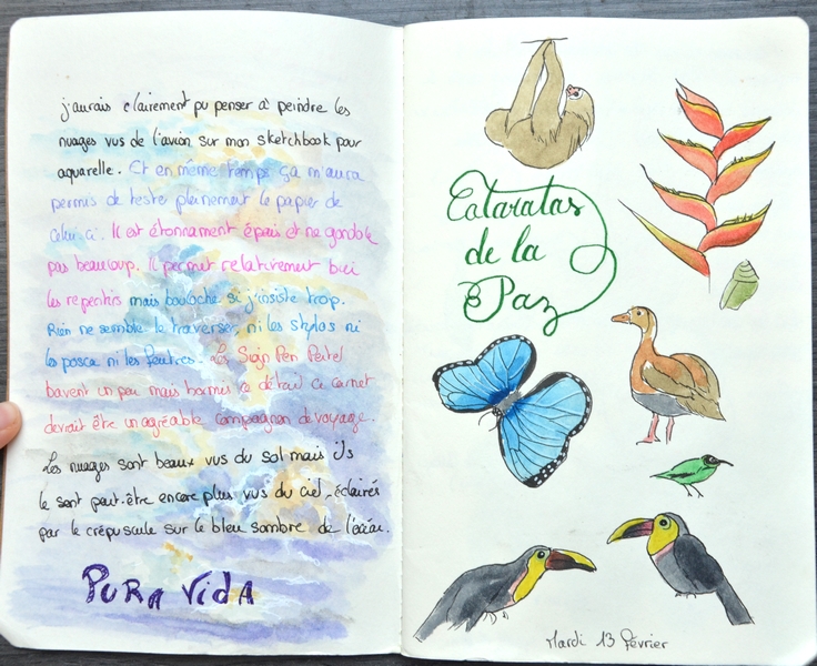 petits croquis d'animaux
