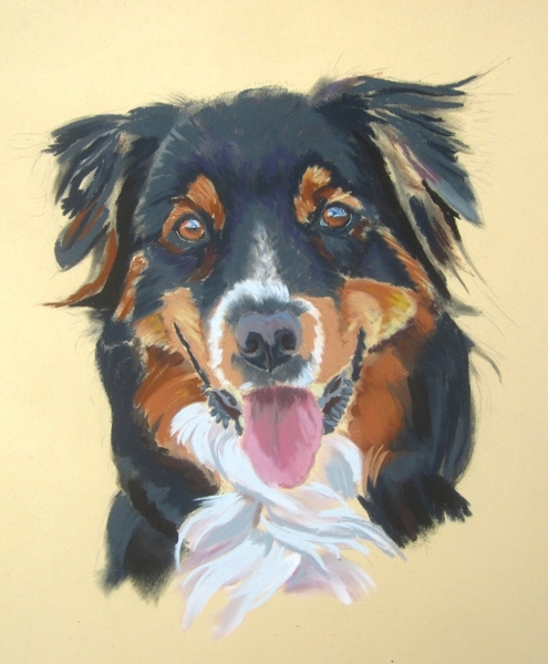 pastel berger australien