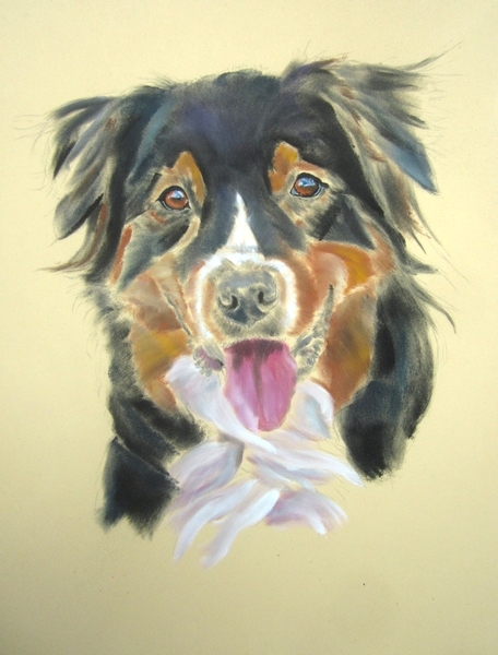 chien panpastel