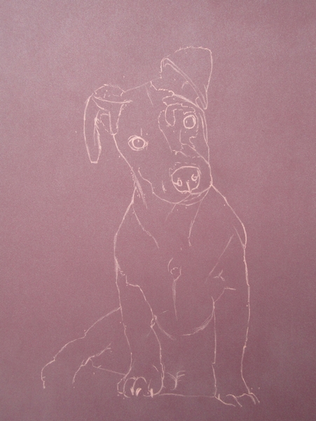 esquisse jack russel