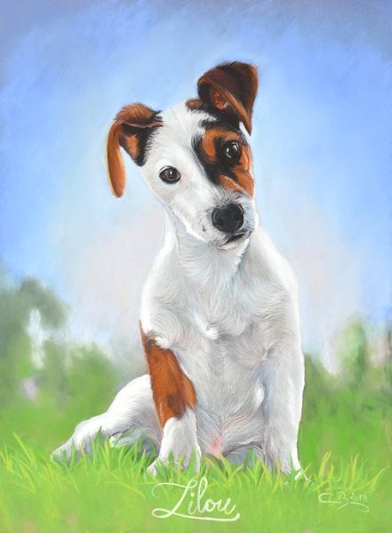 pastel chiot jack russel