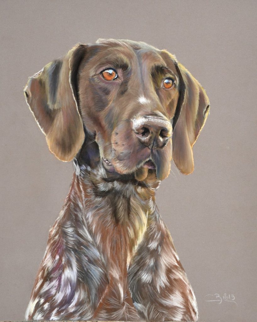 portrait braque pastel sec
