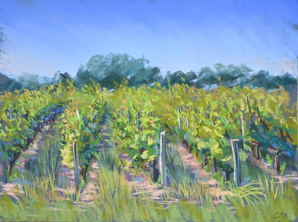 vignes au pastel sec